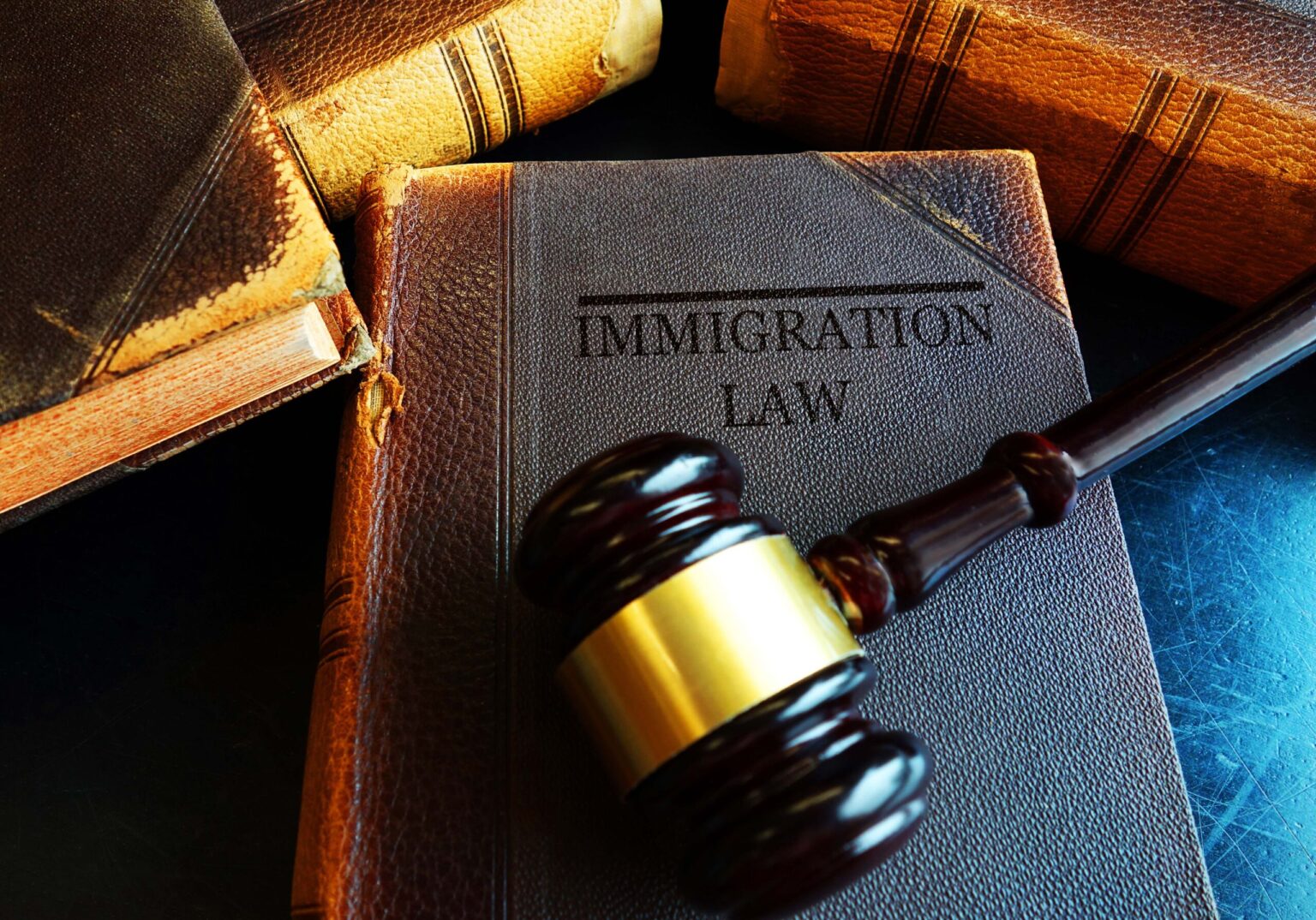 Refugee & Immigration Law